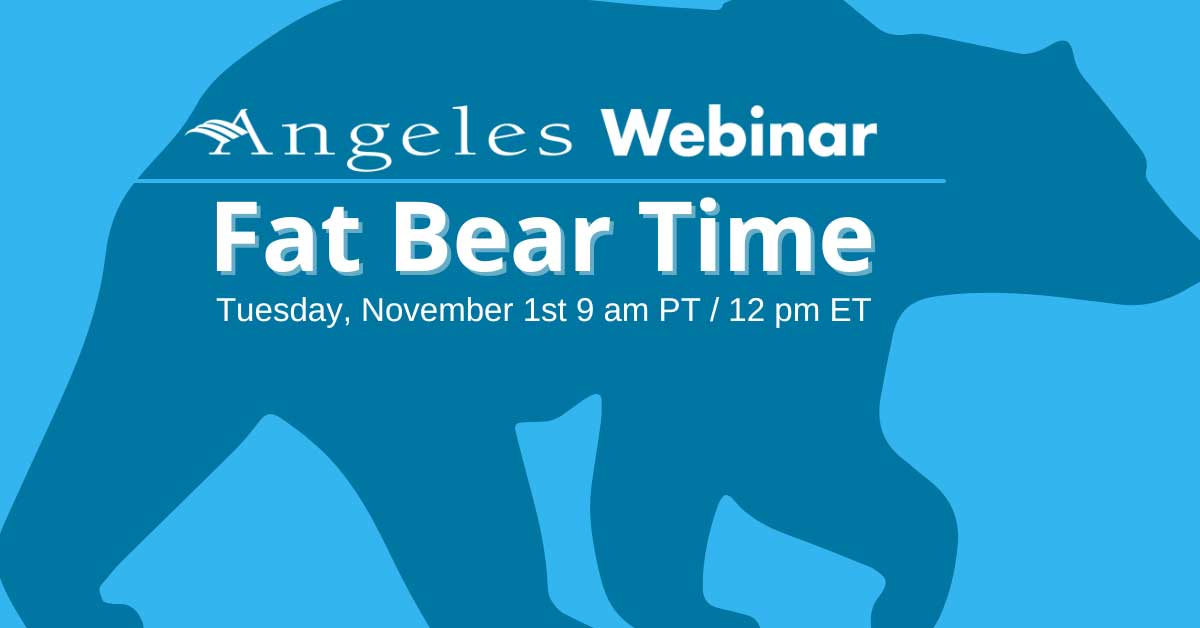 2022 Webinar - Fat Bear Time