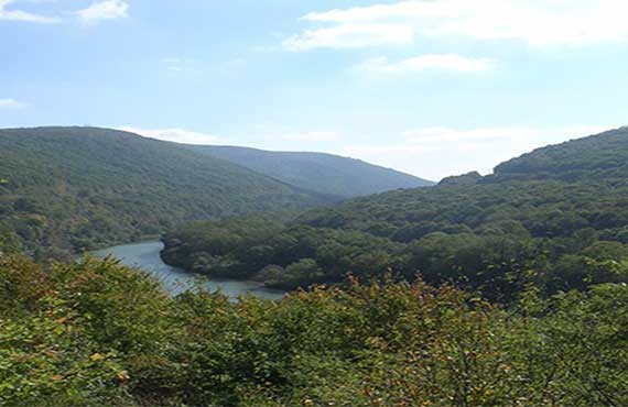 1st Quarter 2023 - Dam(n)